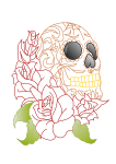 Sugar Skull  Roses